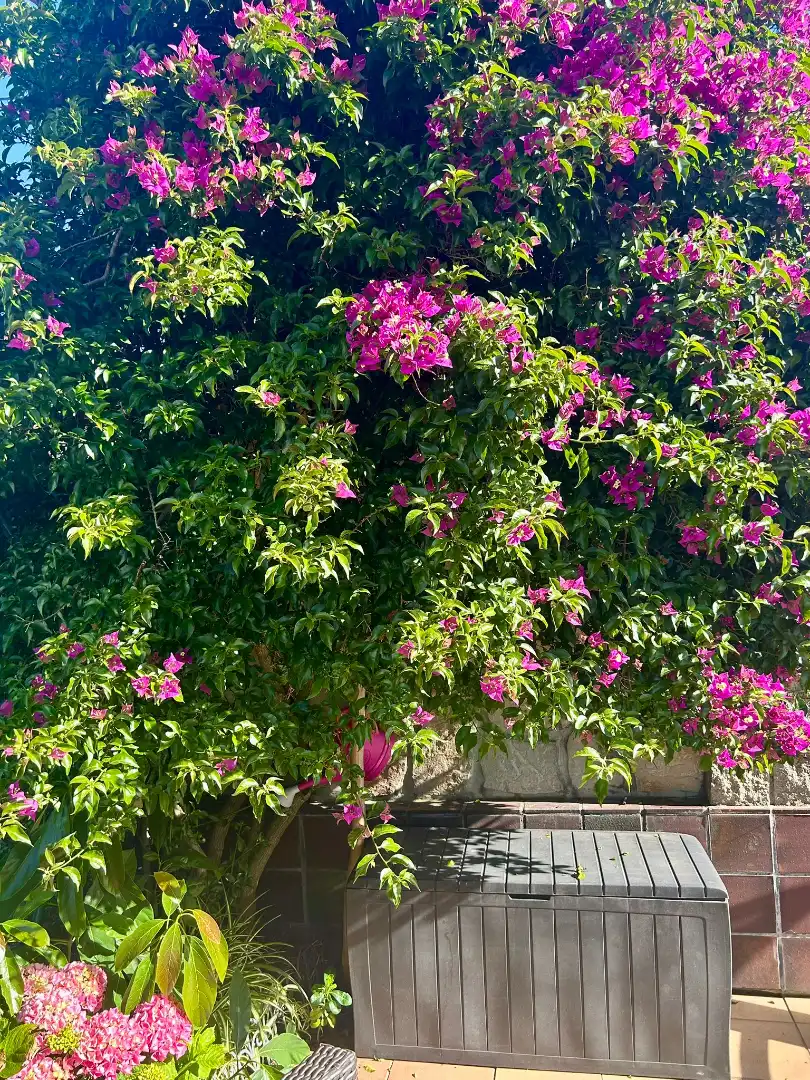 Jardí de Casa o xalet en venda en Santander amb Calefacció, Jardí privat i Parquet