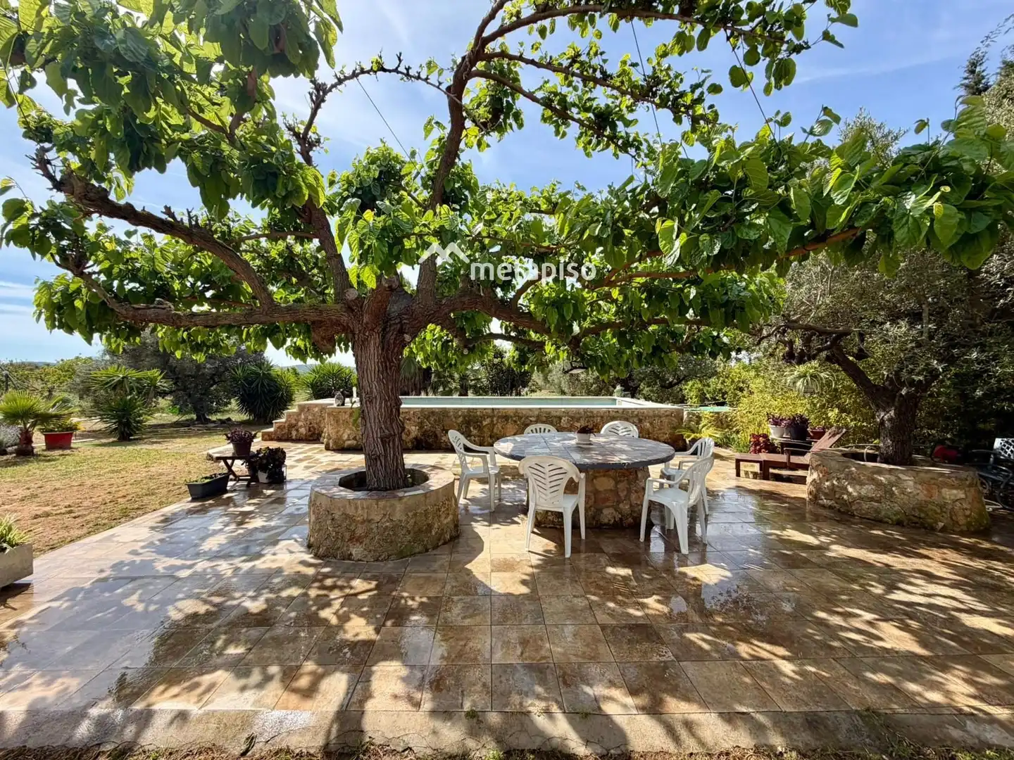 Terreno rustico in vendita a Santa Oliva, imagen 5
