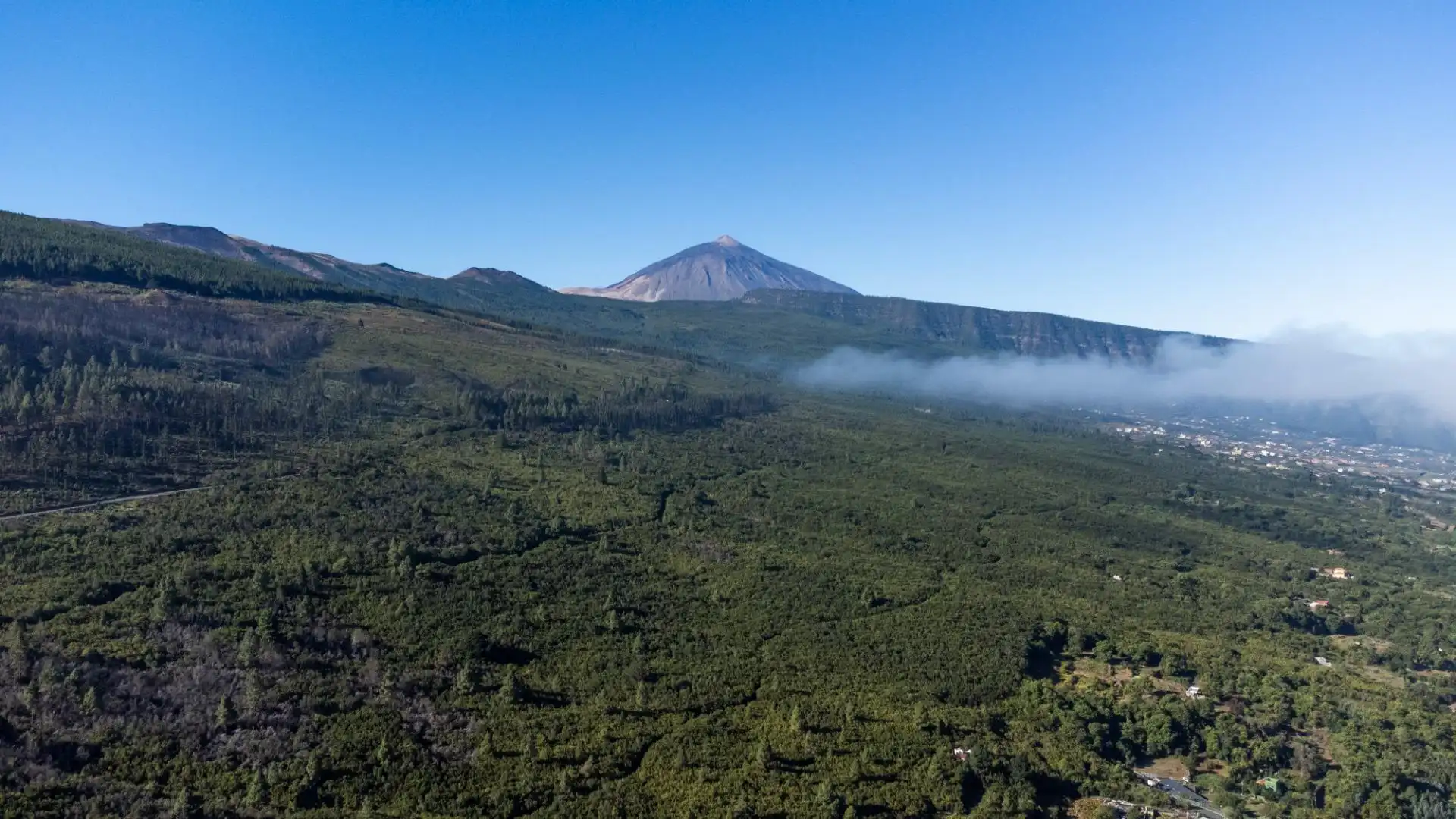 Exterior view of Land for sale in La Orotava