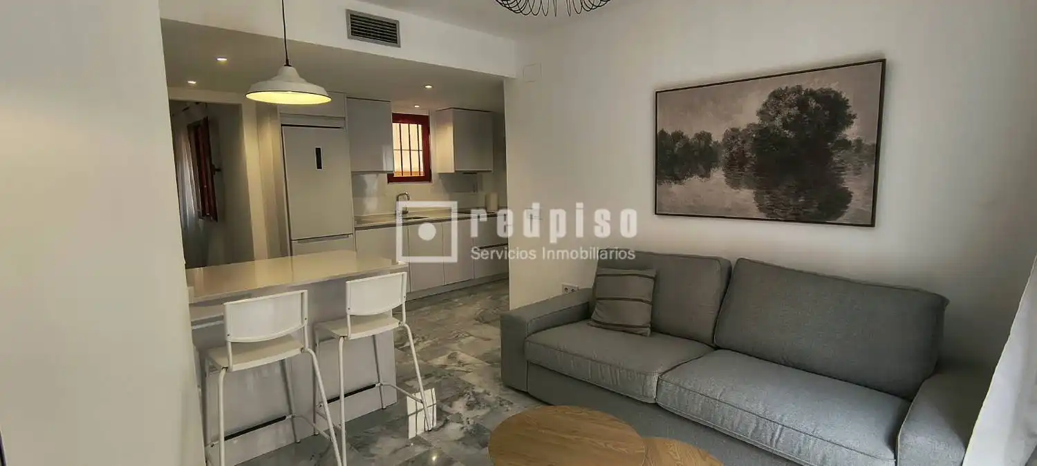 Sala d'estar de Pis de lloguer en Centro