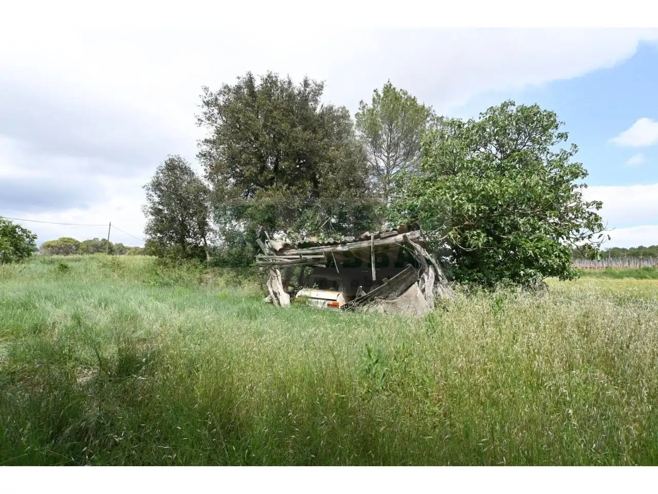 Finca rústica en venta en La Pera