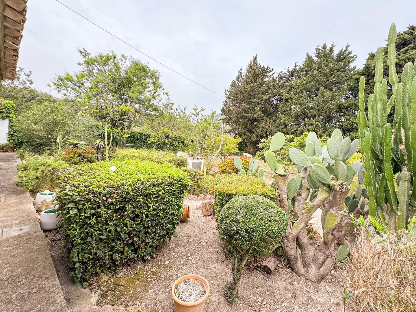 Jardí de Finca rústica en venda en Pollença amb Calefacció, Jardí privat i Traster