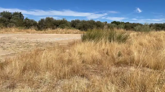 Rural land for sale in Villamanta, imagen 8