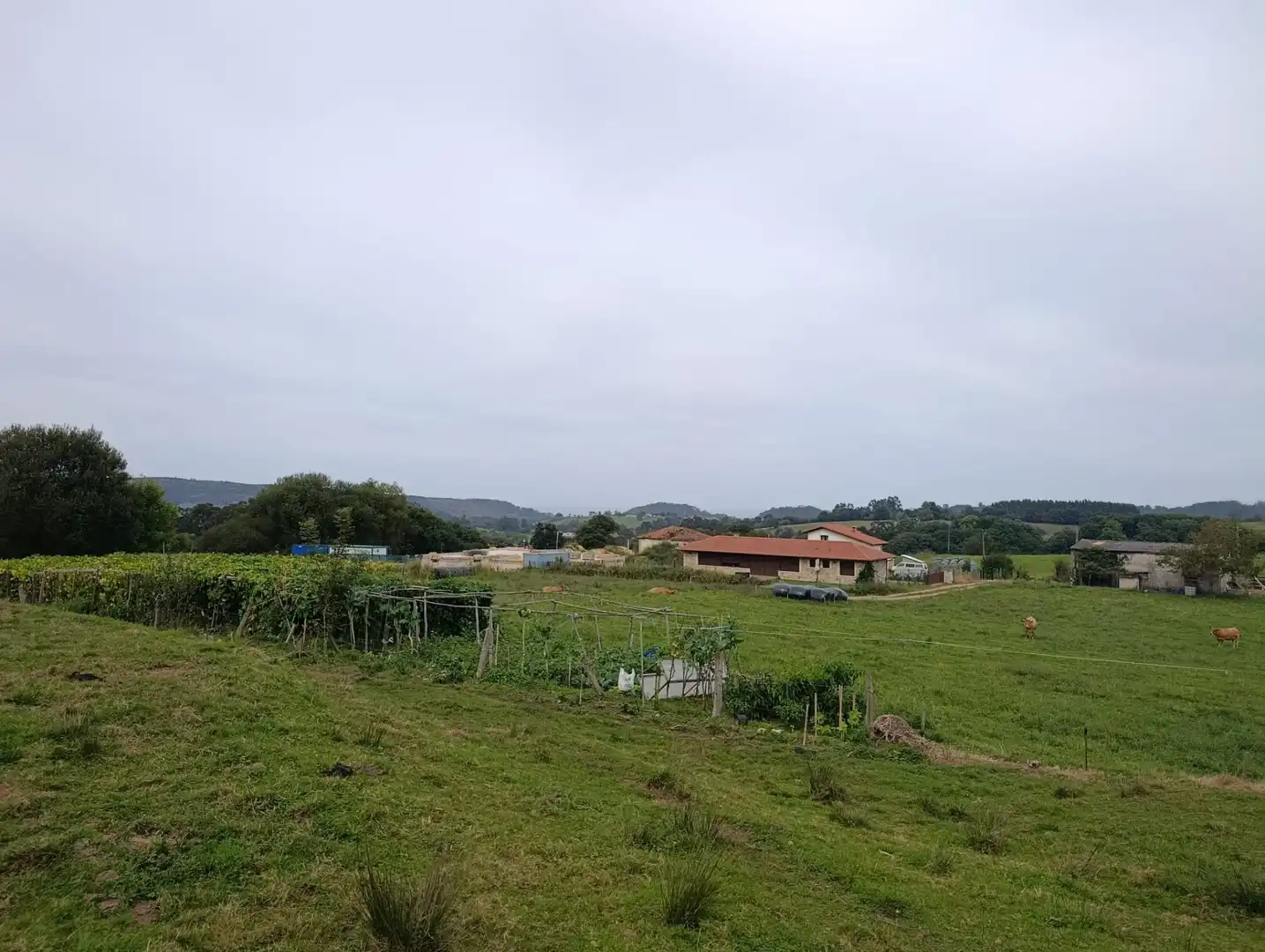Rustikales Grundstück zum Verkauf in Carretera Piñera (Noriega) 0, imagen 6