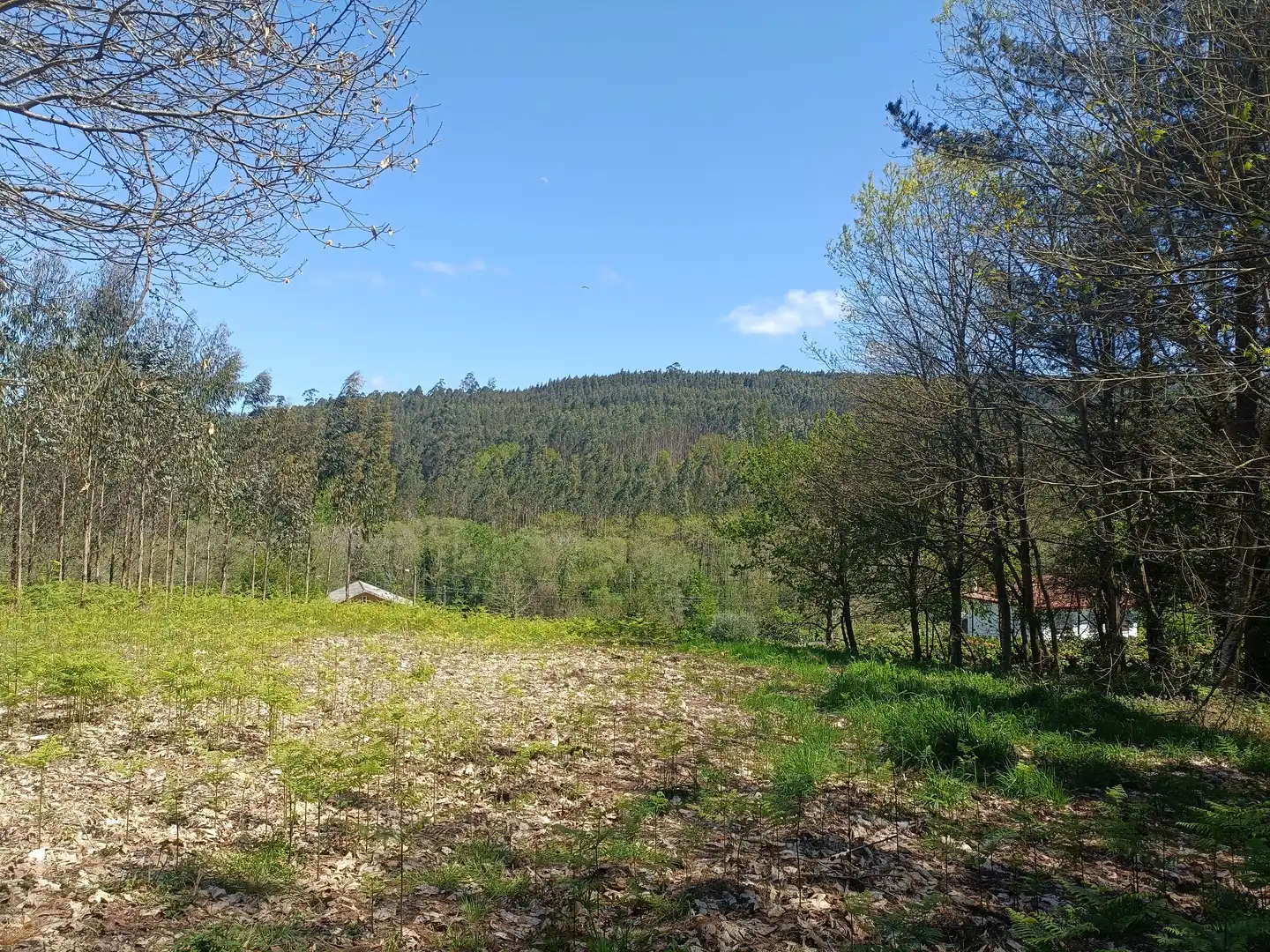 Terreni e lotti in vendita a Burricios, imagen 5