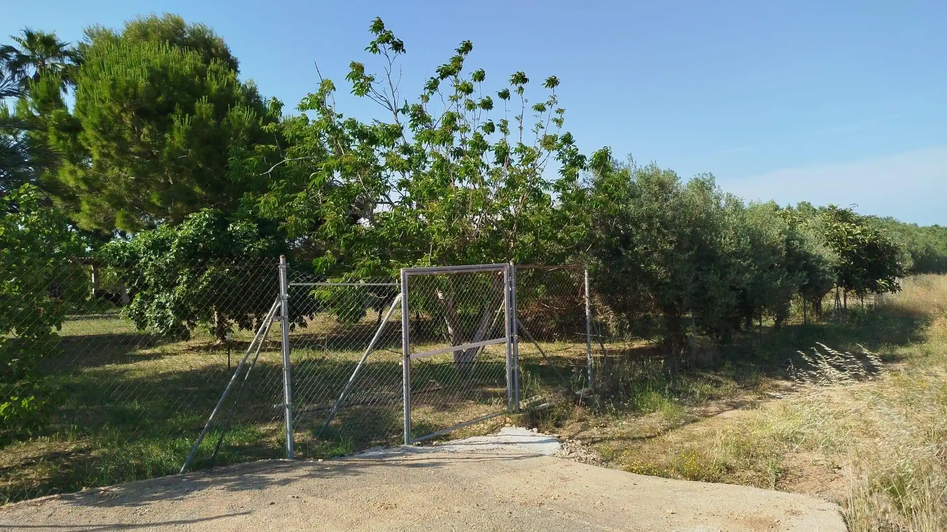 Terreno rústico en venta en Casc Antic, imagen 19