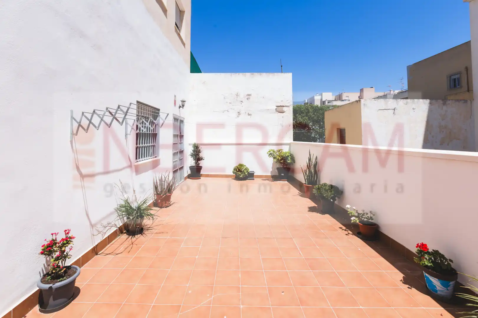 Vista exterior de Piso en venta en El Ejido con Aire acondicionado, Terraza y Amueblado