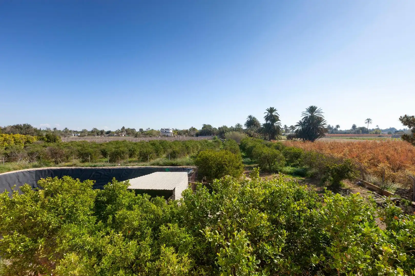 Jardín de Casa o chalet en venta en Elche / Elx