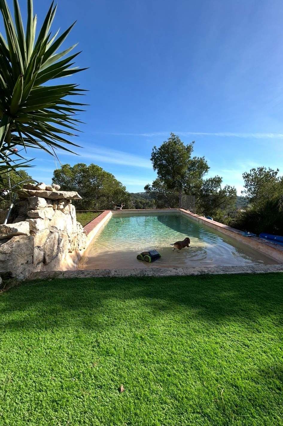 Swimming pool of House or chalet to rent in Sant Pere de Ribes  with Air Conditioner