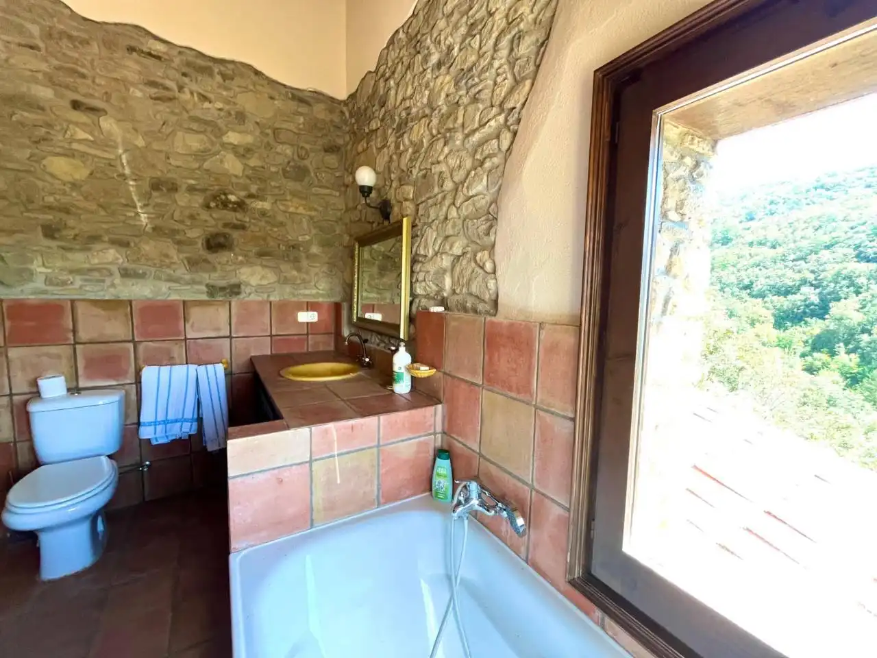 Baño de Finca rústica en venta en Sant Aniol de Finestres con Calefacción, Jardín privado y Terraza