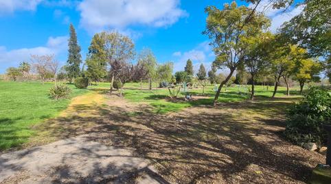 Foto 5 de Casa o xalet en venda a Villanueva del Ariscal, Sevilla