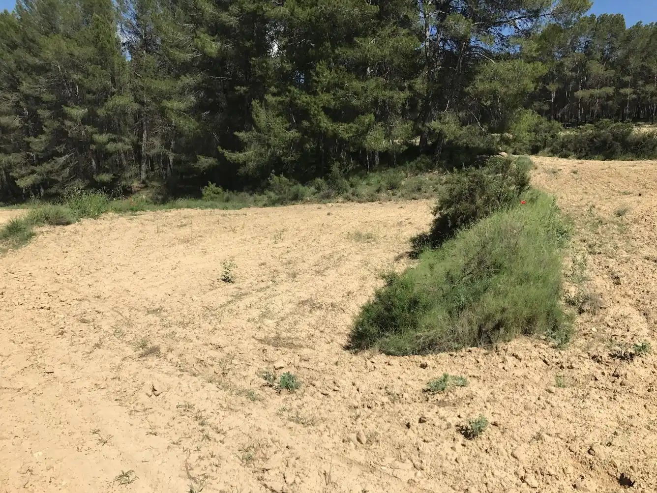 Terreny rústic en venda a Caravaca de la Cruz, imagen 10
