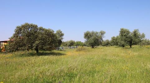 Foto 3 von Grundstücke zum Verkauf in Esparragalejo, Badajoz
