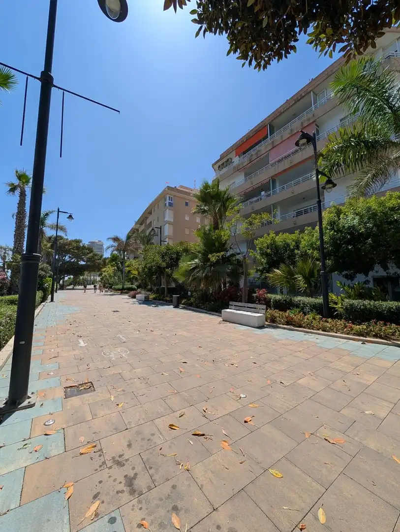Rez-de-chaussée avec ascenseur à vendre à SAN ROQUE, imagen 29