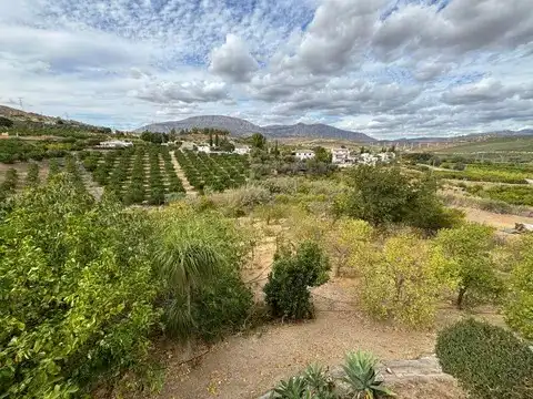 Exterior view of Country homes for sale in Álora  with Furnished