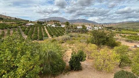 Foto 3 de Finca rústica en venda a Álora, Málaga