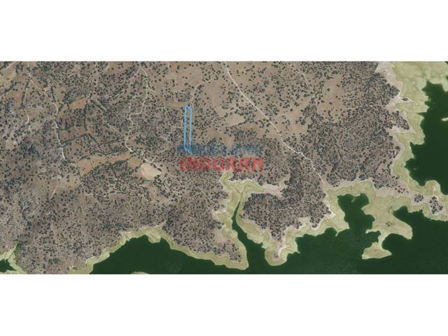 Finca rústica en Venta en Valdehúncar