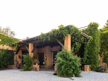 Casa con giardino in vendita a Camino via verde