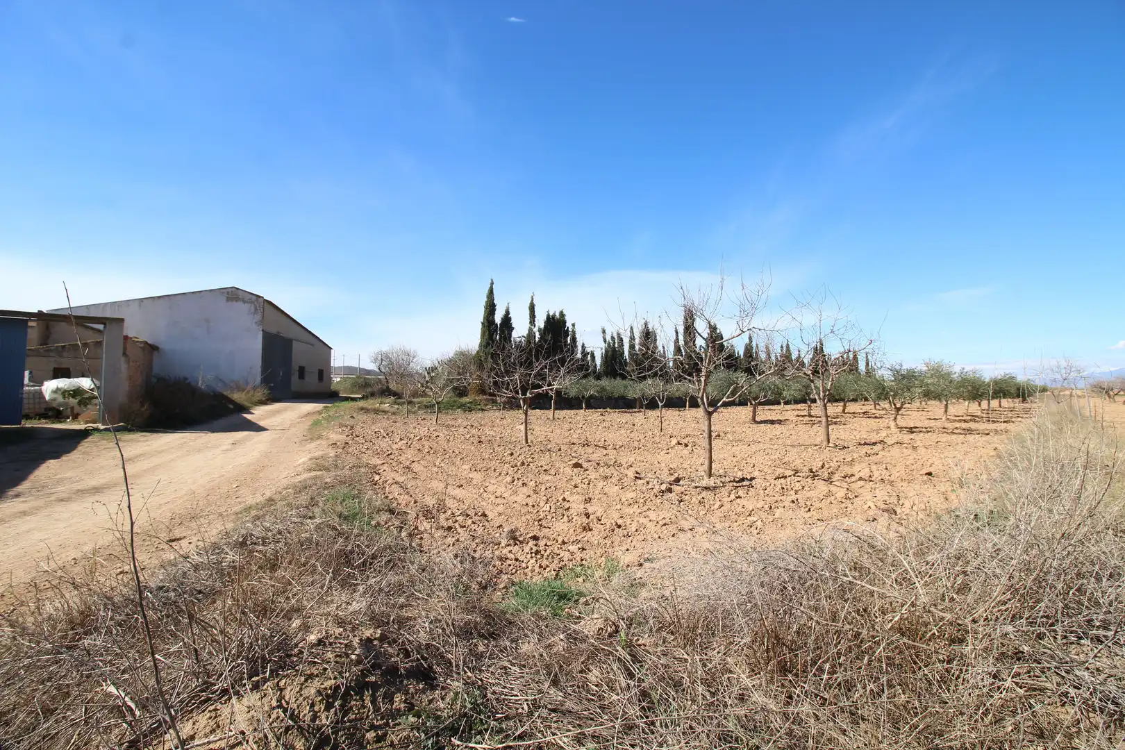 Casa amb jardí en venda a La Pinilla - Las Palas, imagen 27