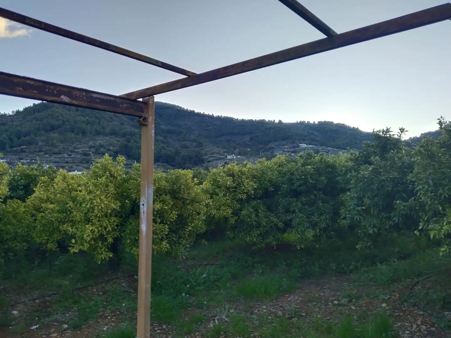 Land for sale in Alfondeguilla