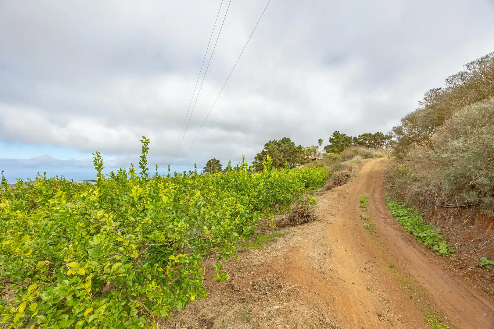 Residencial en venta en Lugar Lomo del Poleo, Saucillo - Fagajesto - Juncalillo