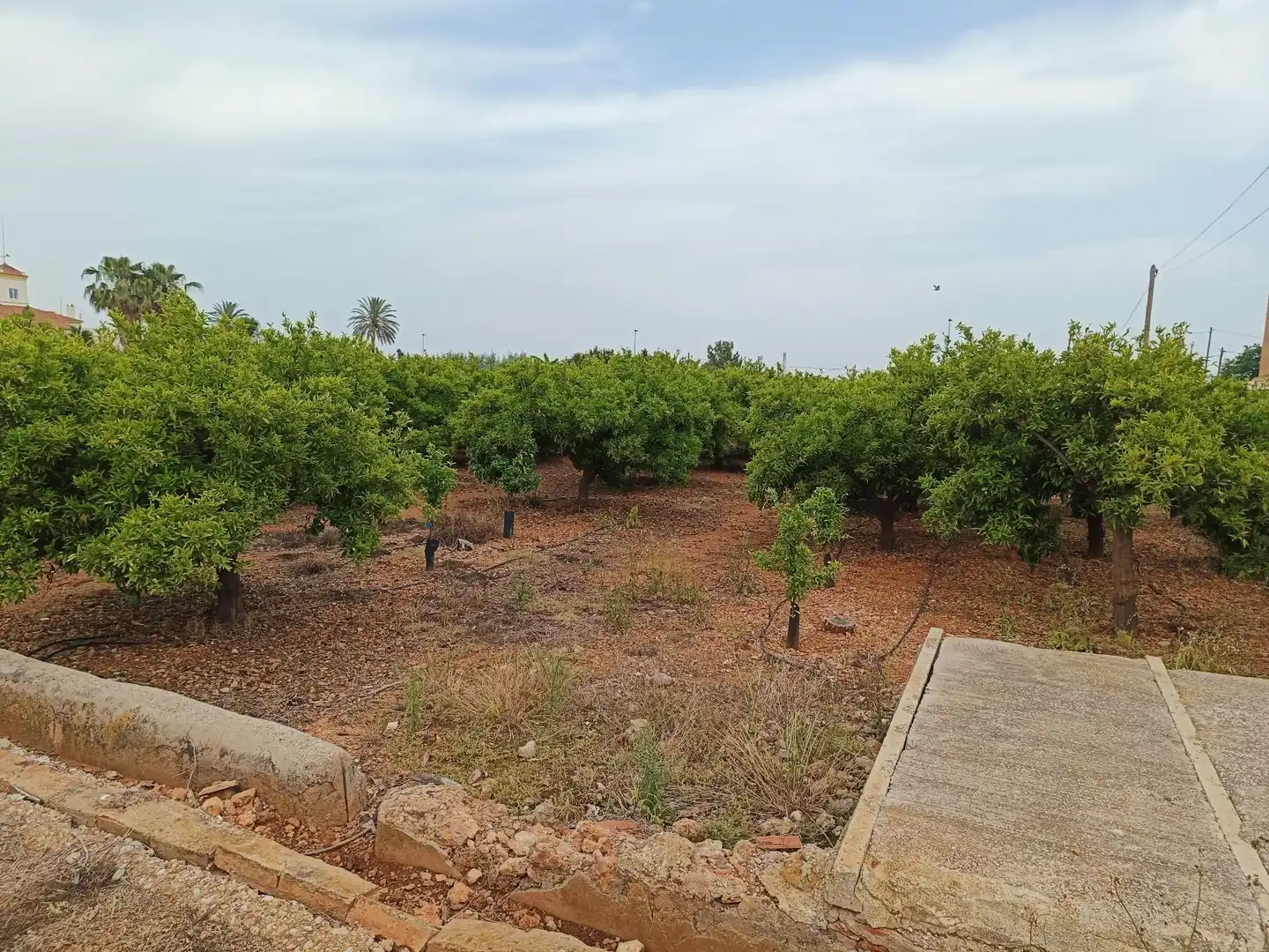 Country house zum Verkauf in Ciutat del Transport - La Salera