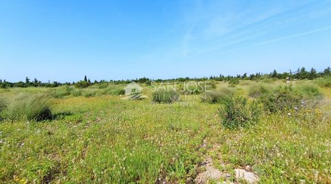 Foto 4 de Terreno en venta en Torrellano, Elche / Elx