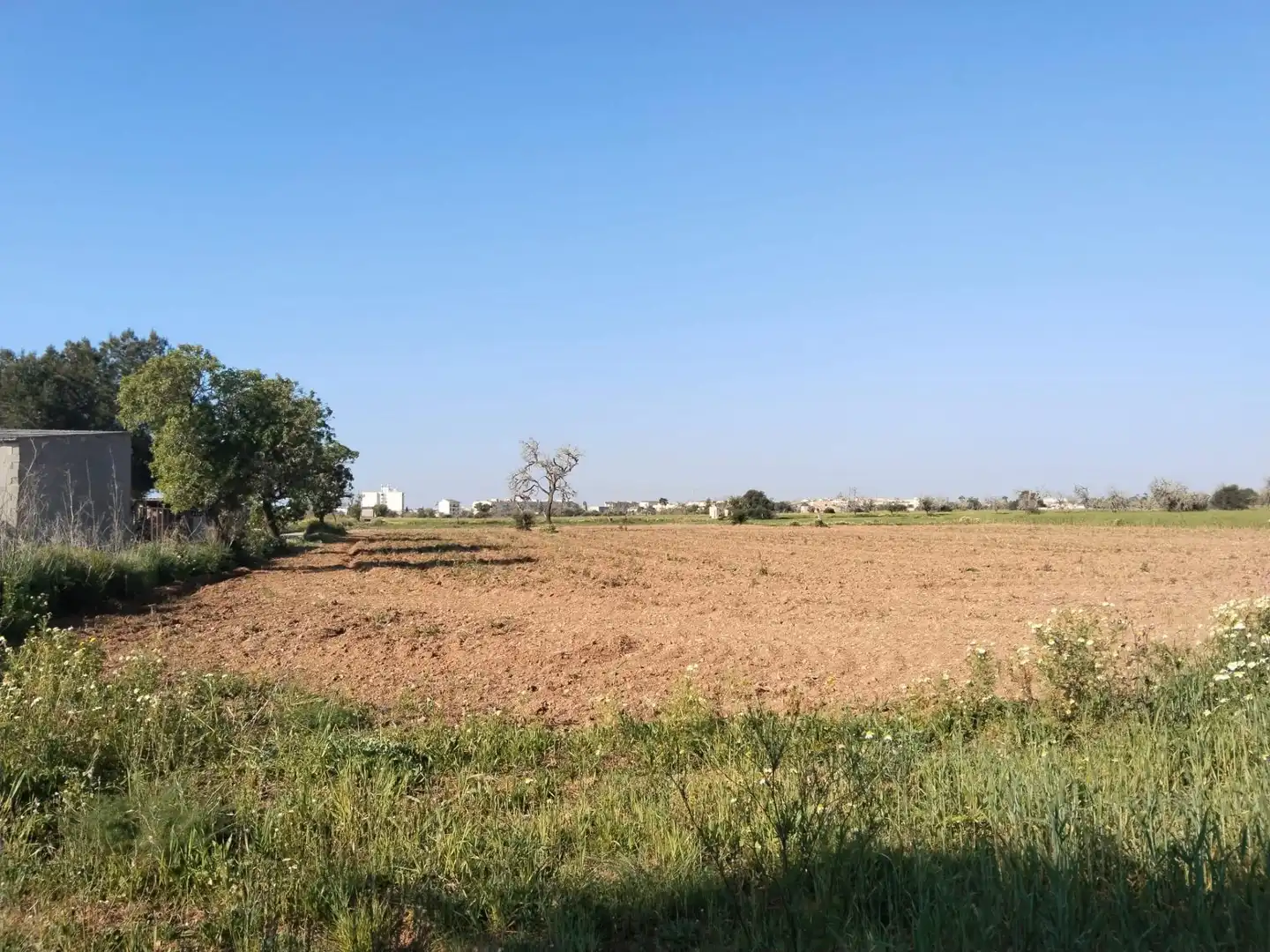 Rustikales Grundstück zum Verkauf in Campos poble, imagen 7
