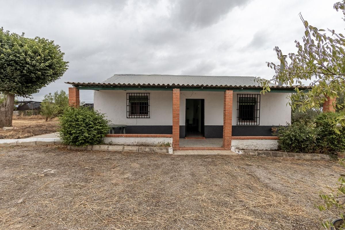 Exterior view of Country house for sale in Moraleda de Zafayona  with Private garden, Terrace and Swimming Pool