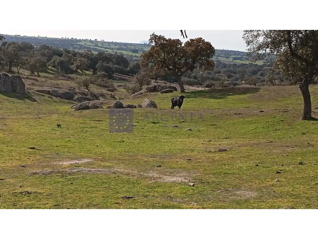 House for sale in Terrenos Calamonte, imagen 2