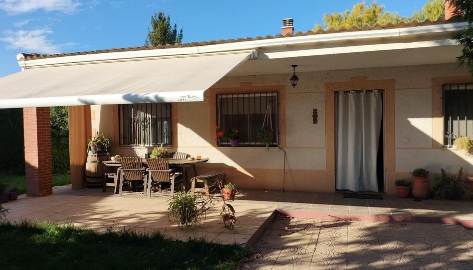 Foto 1 de Finca rústica en venda a Villamuriel de Cerrato, Palencia