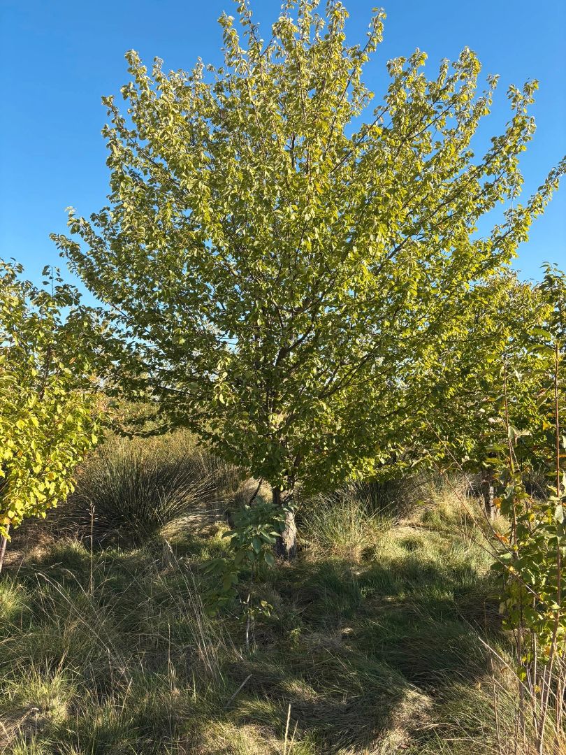 Vista exterior de Terreno en venta en Villamediana de Iregua