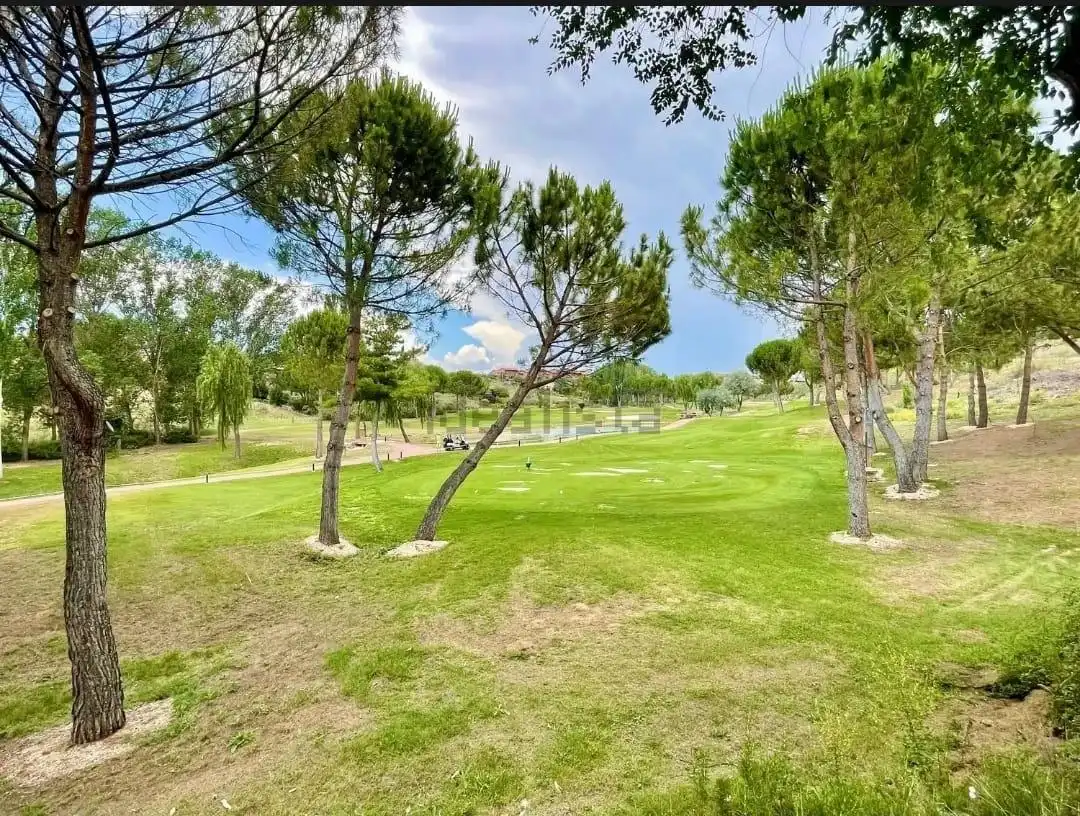 Exterior view of Residential for sale in Cabanillas del Campo