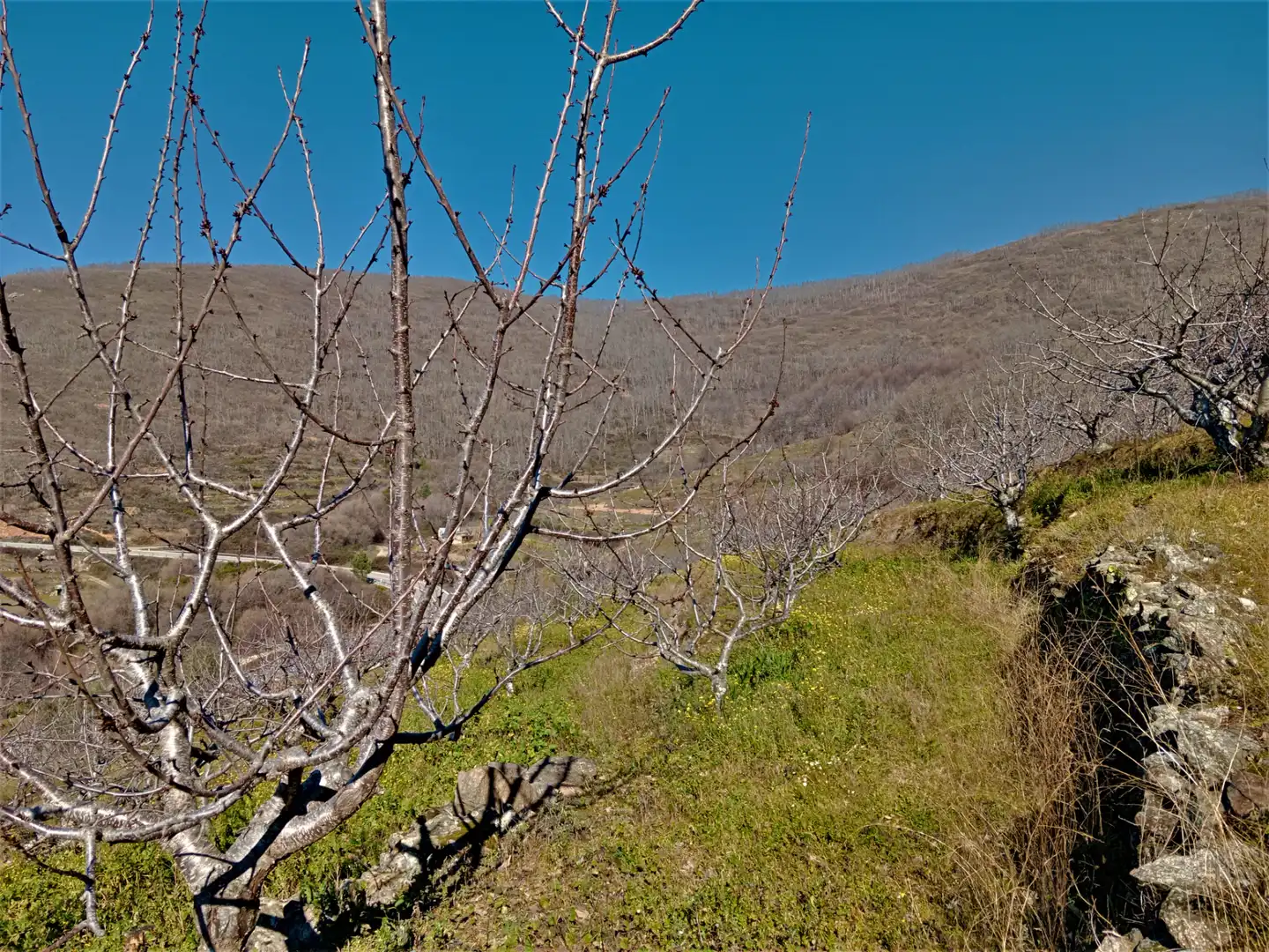 Terreni e lotti in vendita a Barrado, imagen 16