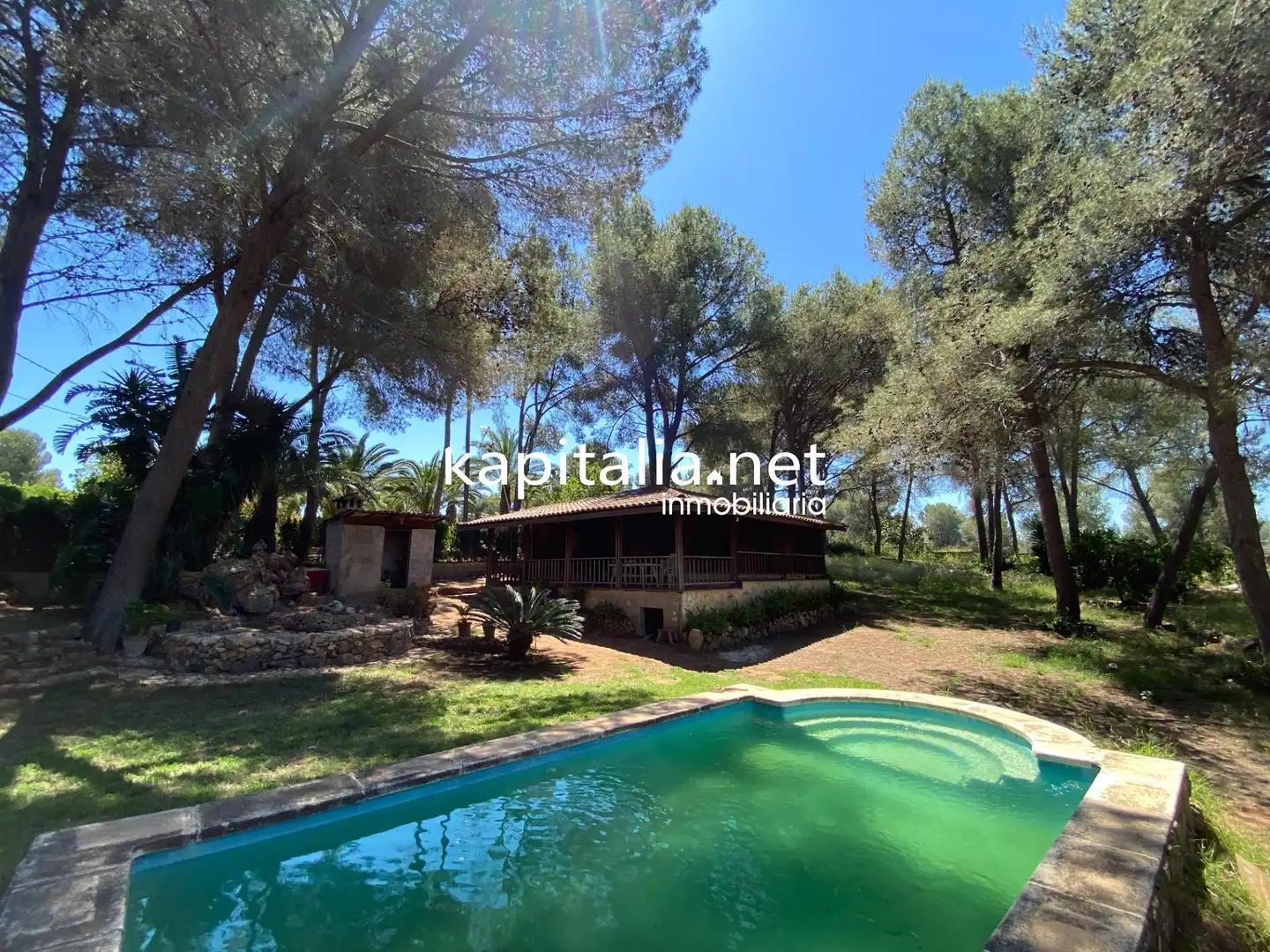 Jardín de Casa o chalet en venta en Alberic con Jardín privado, Piscina y Amueblado
