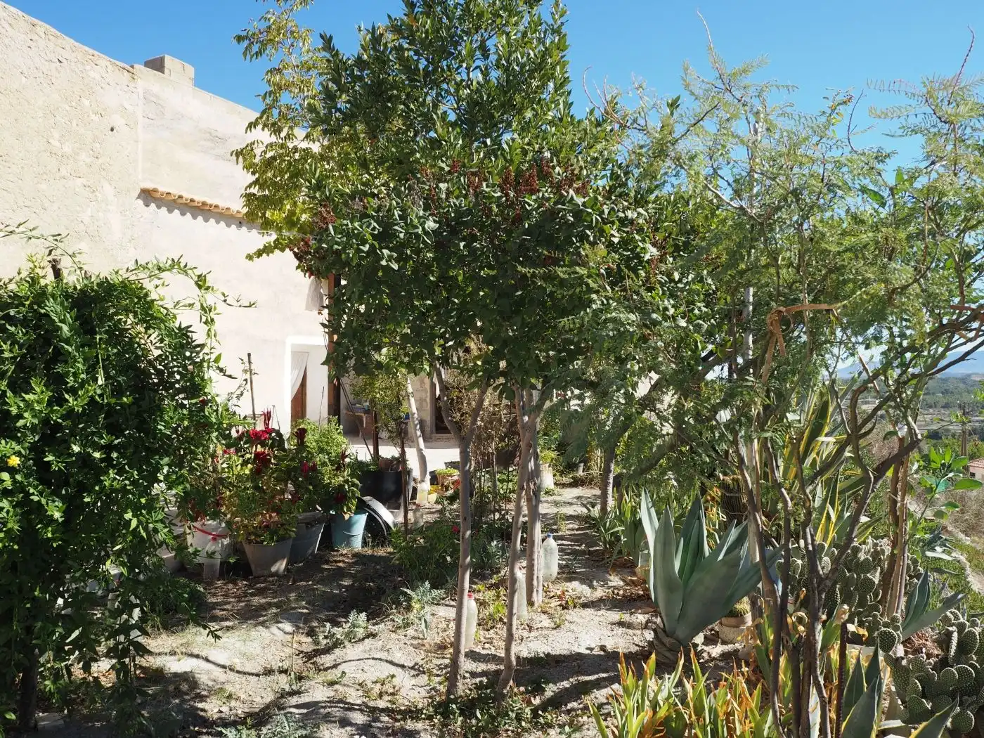 Casa rústica en venda a Benamaurel, imagen 2
