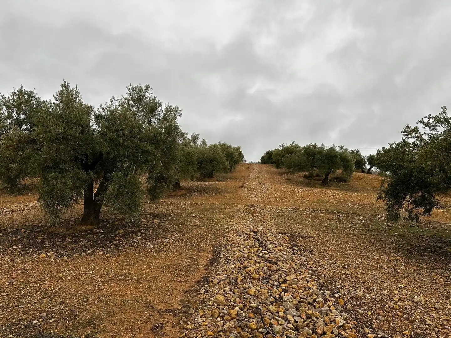 Terreni e lotti in vendita a Atarfe, imagen 4