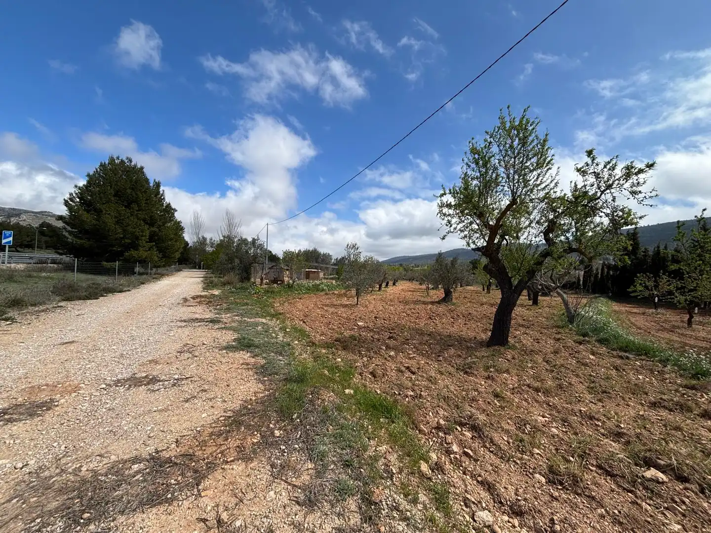 Terreno rústico en venta en CV-806, imagen 6