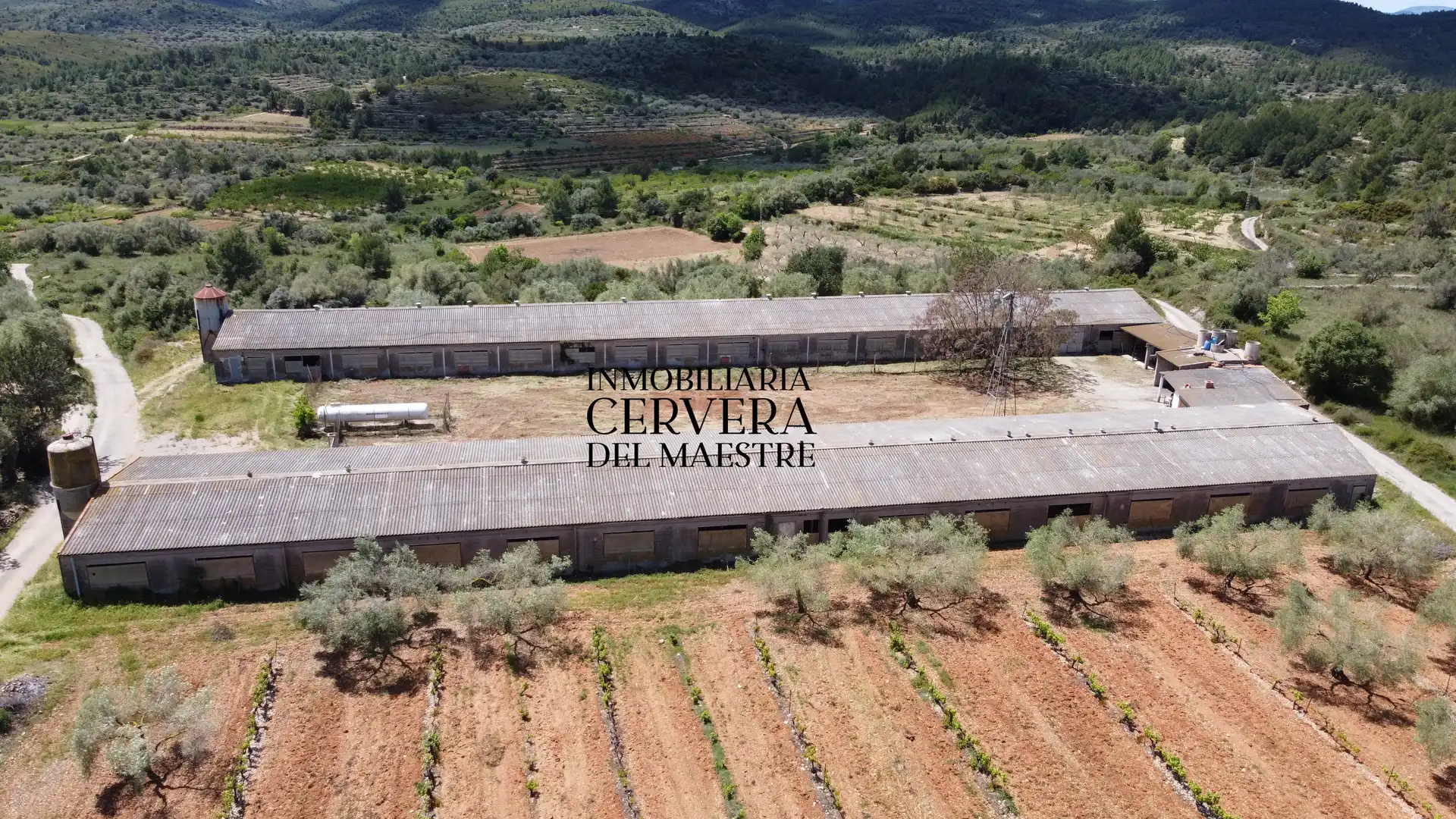 Terreno rustico in vendita a Cervera del Maestre, imagen 12