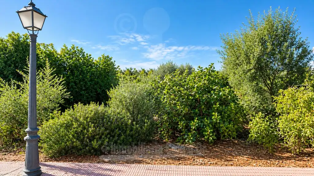 Rustikales Grundstück zum Verkauf in Cala d'Or