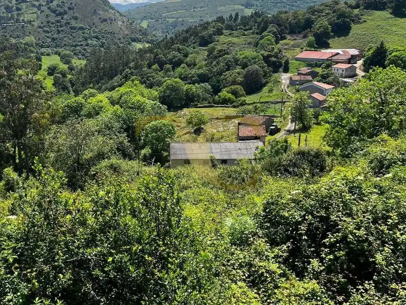 Terreny rústic en venda a Andinas, imagen 14