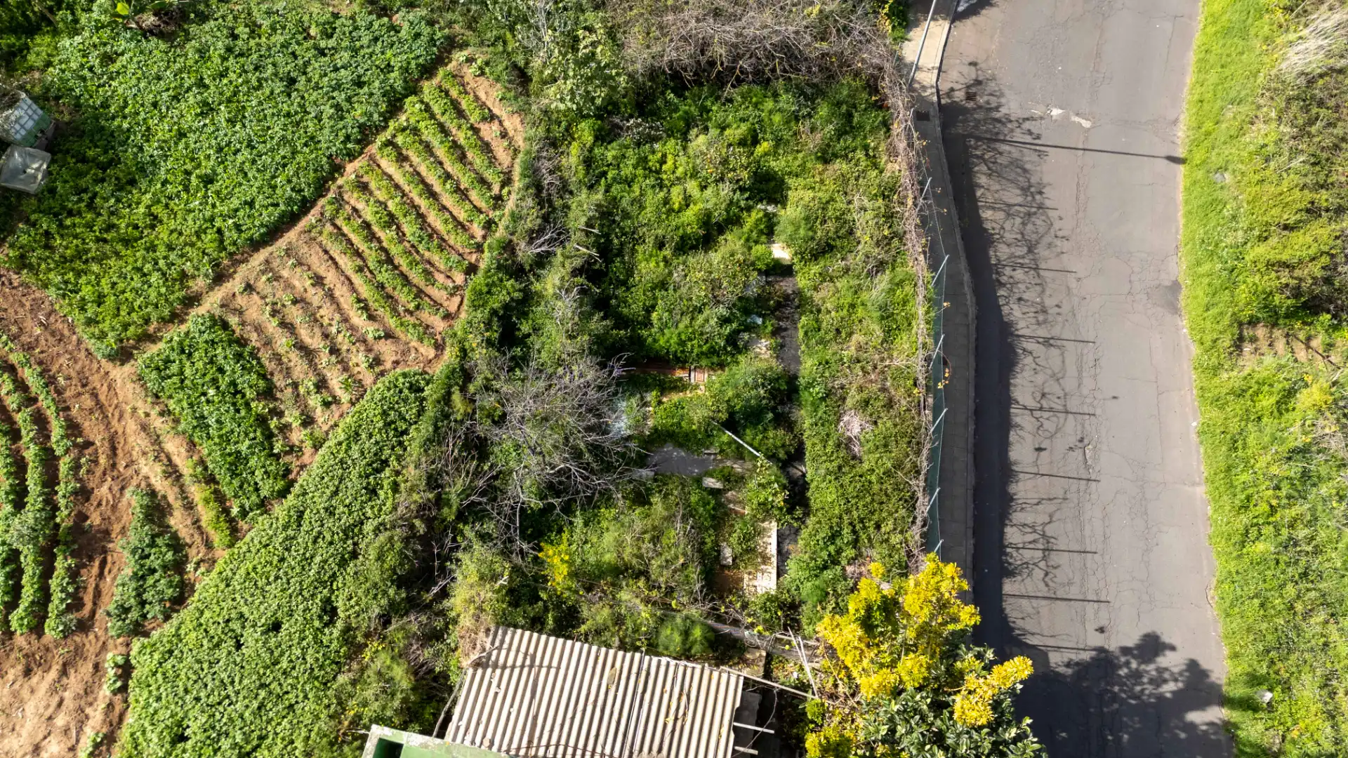 Villa avec terrasse à vendre à Carretera la Vera Baja, imagen 5