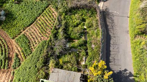 Photo 5 of House or chalet for sale in Carretera la Vera Baja, San Juan de la Rambla, Santa Cruz de Tenerife