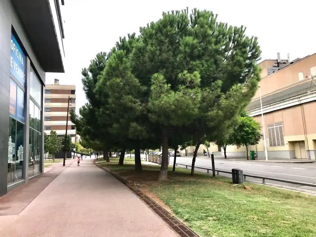 Außenansicht von Geschaftsraum zur Miete in Cornellà de Llobregat