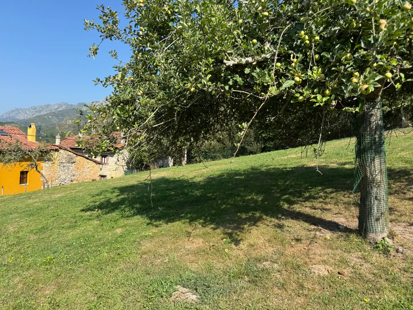 Residencial en venta en Peñamellera Alta