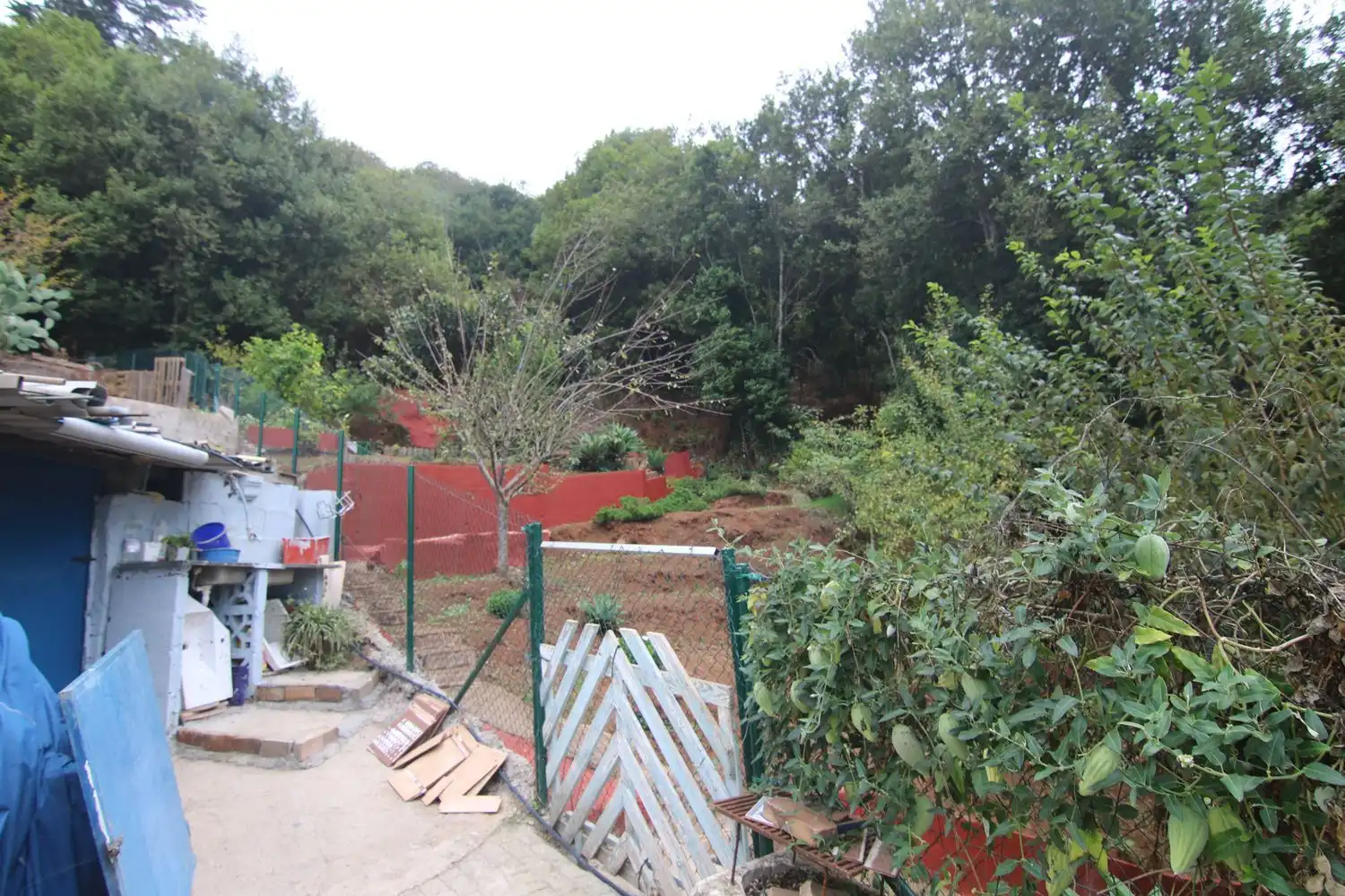 Finca rústica en venda en Valleseco