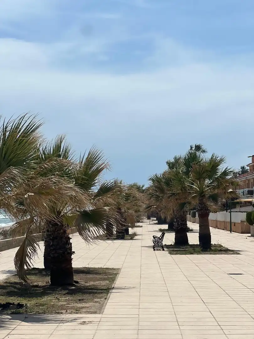 Vista exterior de Casa o xalet en venda en Creixell amb Calefacció i Jardí privat