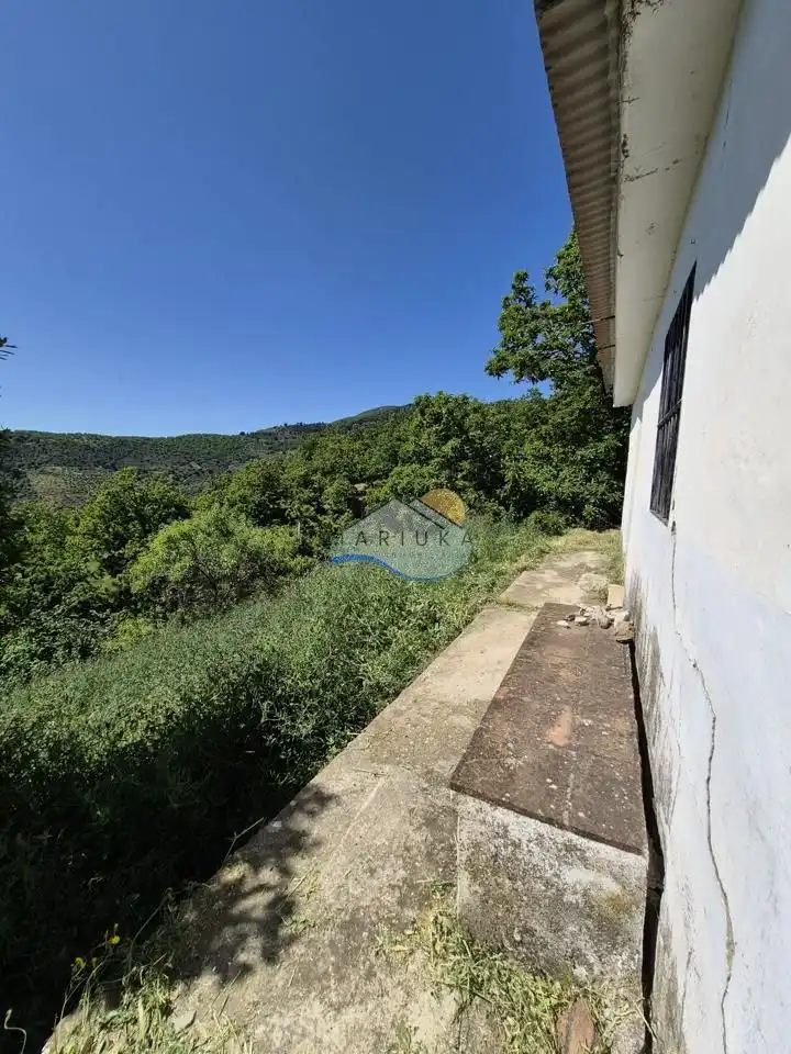 Terreny rústic en venda a poligono 10, imagen 19