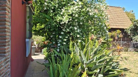 Photo 5 of Country house for sale in San Pedro de Alcántara pueblo, Marbella