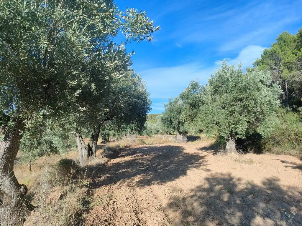Country homes for sale in Fuentespalda